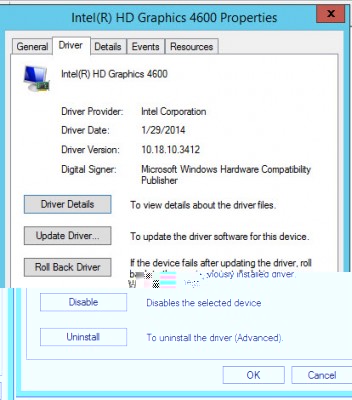 Windows 2012 R2 Video driver